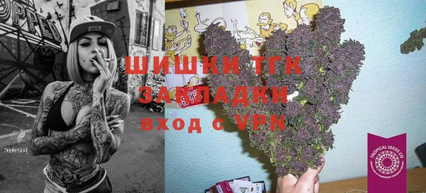 дурь Бронницы
