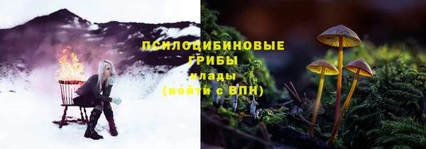 спайс Богородицк