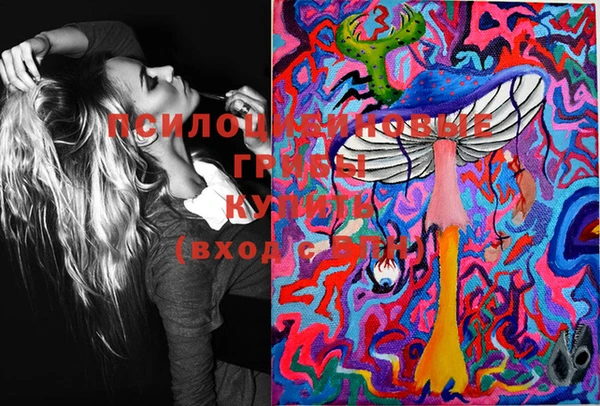 PSILOCYBIN Богородск