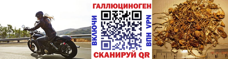 Галлюциногенные грибы Psilocybe hydra зеркало Минеральные Воды